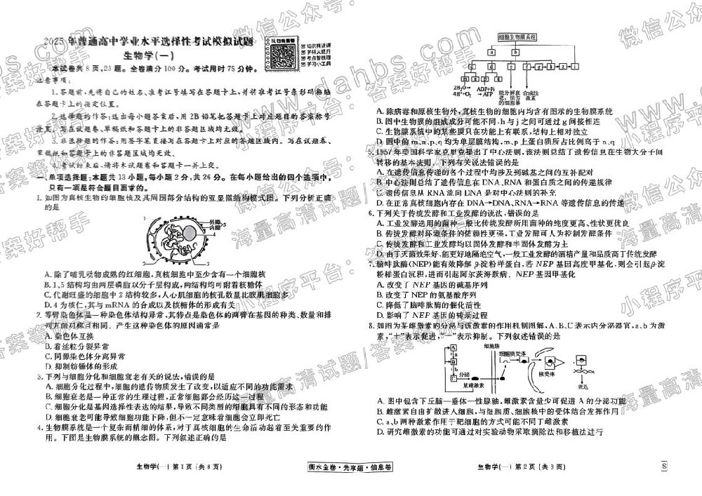 2025年衡水金卷先享题信息卷生物学