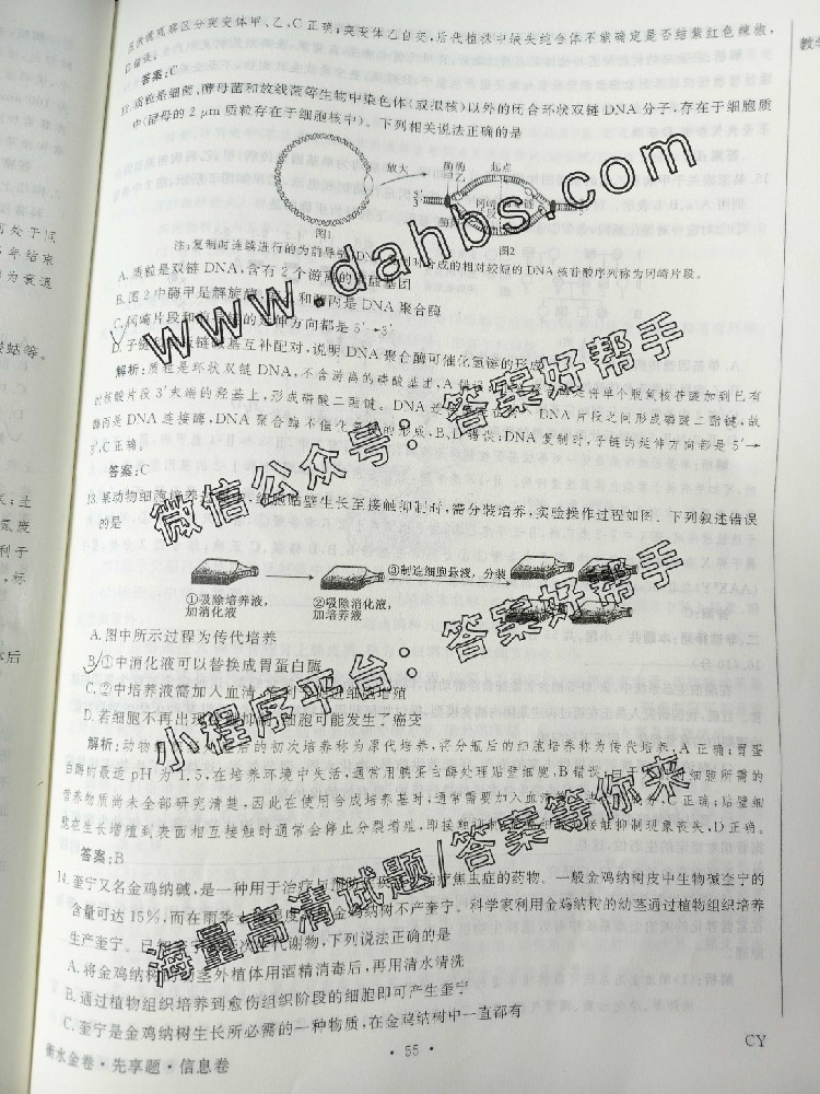 113.jpg
