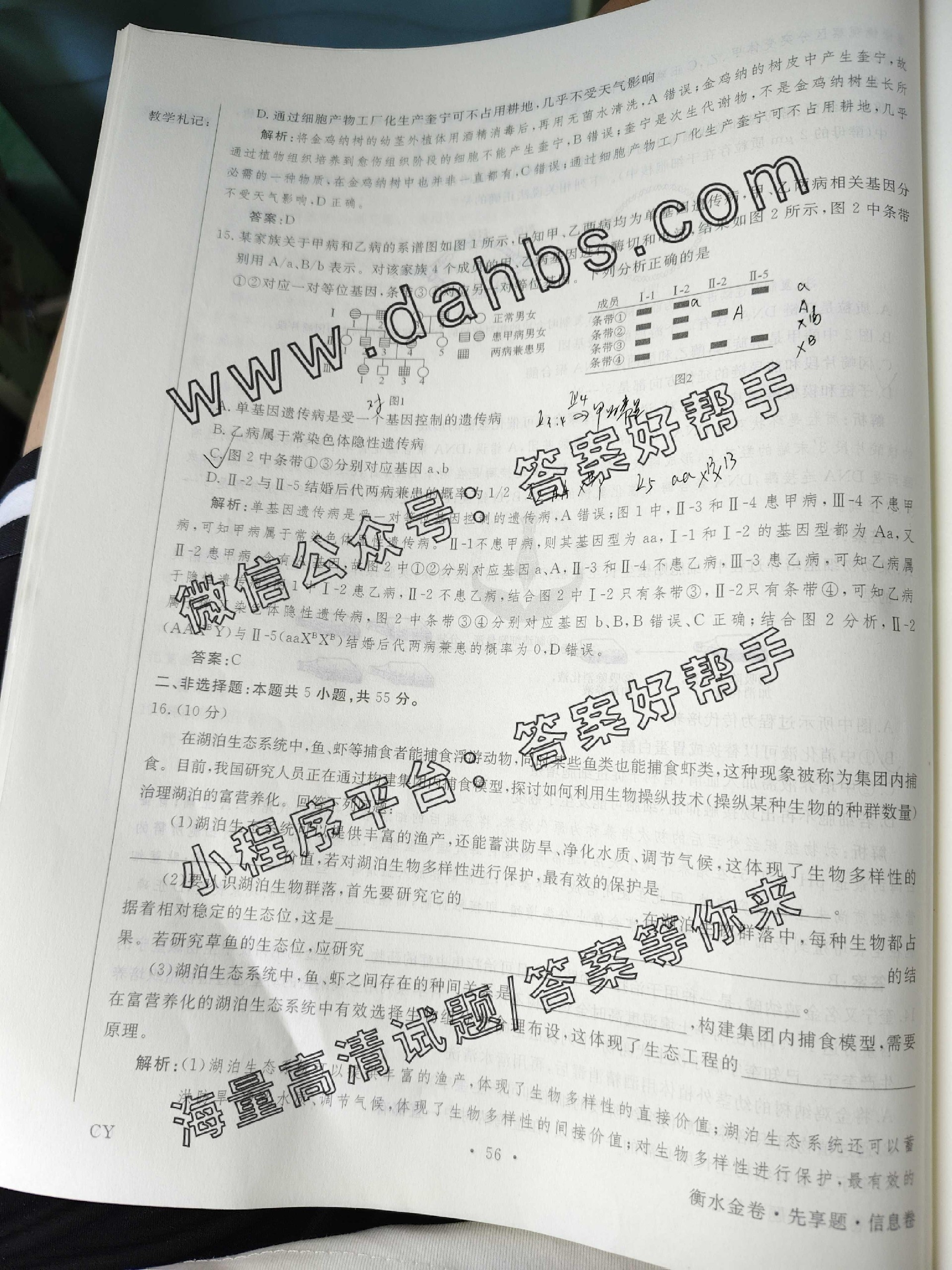 114.jpg