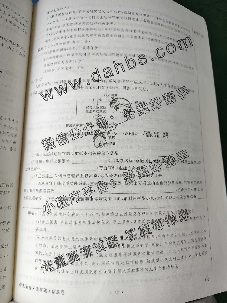 115.jpg