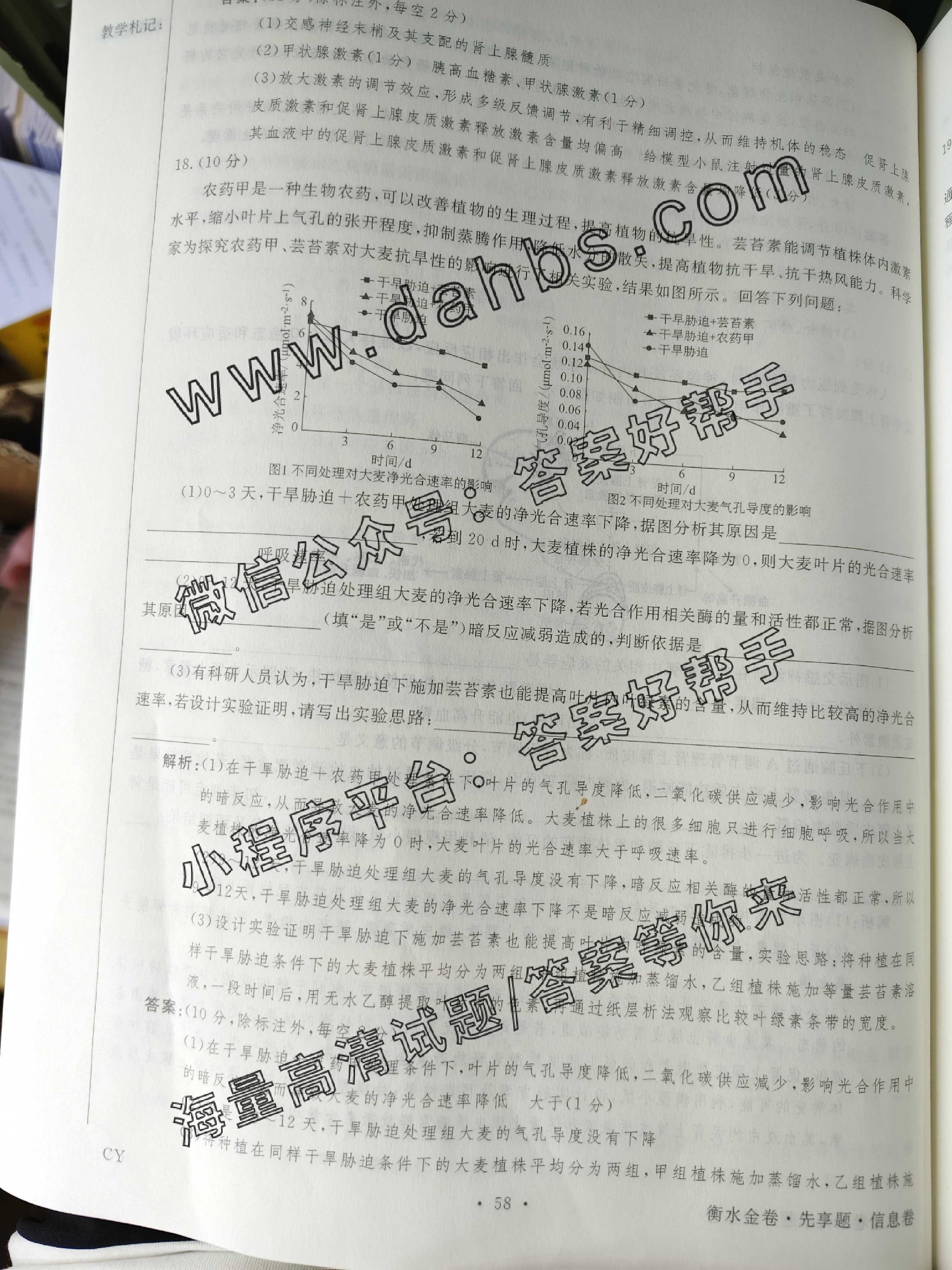 116.jpg