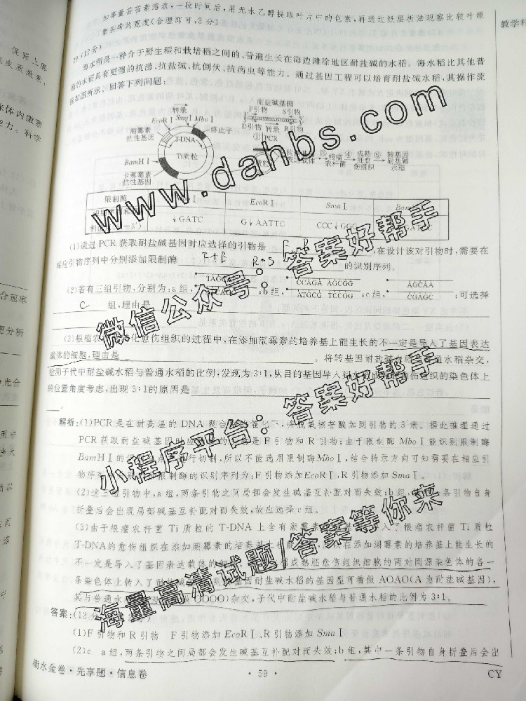 119.jpg