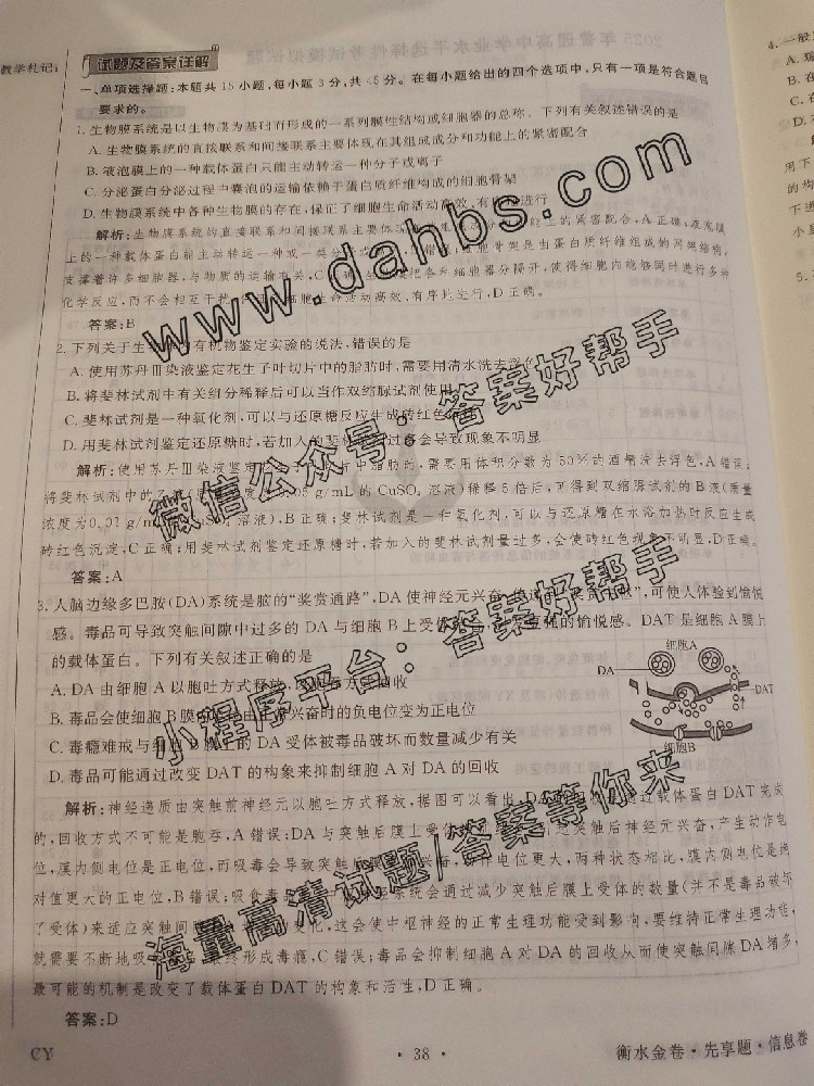 121.jpg